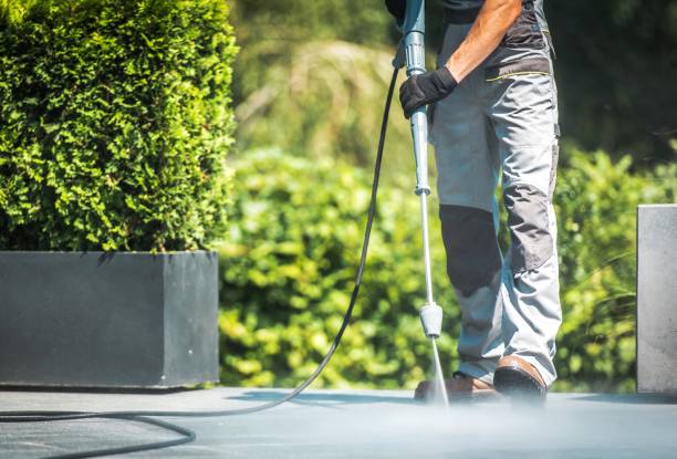 Best Roof Washing  in Swedeland, PA